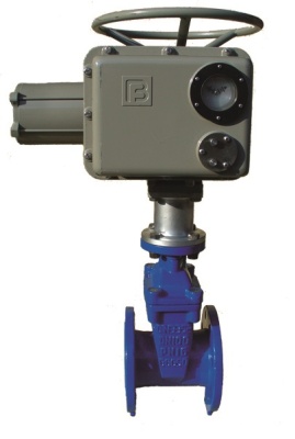 Задвижка с обрезиненным клином фланцевая ABRA с электроприводом Regada В Глазове